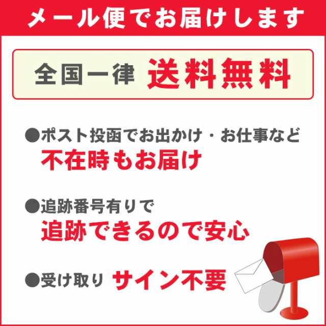 まとめ）ぺんてる 製図用シャープペンシルグラフギア1000 0.3mm PG1013 1本