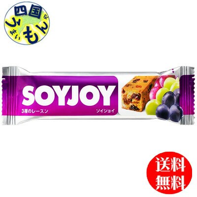 大塚製薬SOYJOY(ソイジョイ)3種のレーズン(30g*12本*4ボール)2ケース