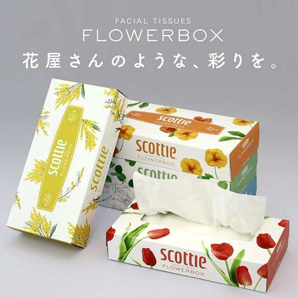 スコッティ (SCOTTIE) ティッシュペーパー フラワーボックス 320枚(160組)5箱×12パック(60箱) まとめ買い 送料無料の通販はau  PAY マーケット KAMIYASAN au PAY マーケット－通販サイト
