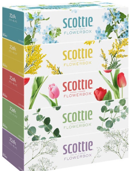 スコッティ (SCOTTIE) ティッシュペーパー フラワーボックス 500枚(250組)5箱×12パック(60箱)　まとめ買い　送料無料 5,996円
