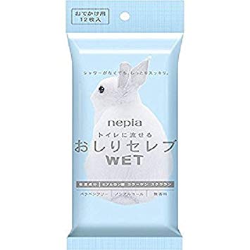 王子ネピア　ネピア　おしりセレブWET　おでかけ用　無香料　12枚　20パック入り　まとめ買い　送料無料の通販は 6,500円