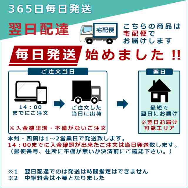 (30本セット) ラセン杭 大 φ13×600mm 赤錆止め塗装 らせん杭 (ビニールハウス、パイプ倉庫の固定に) 螺旋杭 - 2