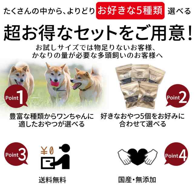 キューブ 5種類 詰め合わせ | 送料無料 犬 おやつ 無添加 どっぐふー