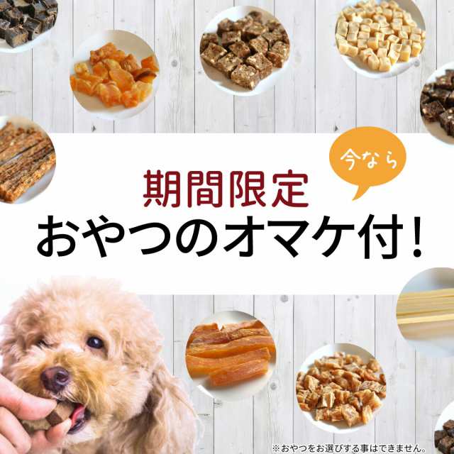 メール便 送料無料 犬 おやつ 無添加 鹿肉 付き スペアリブ 60g 2個セット | どっぐふーどる 国産 ジャーキー 口臭予防 ペット ギフト  ドの通販はau PAY マーケット - どっぐふーどる