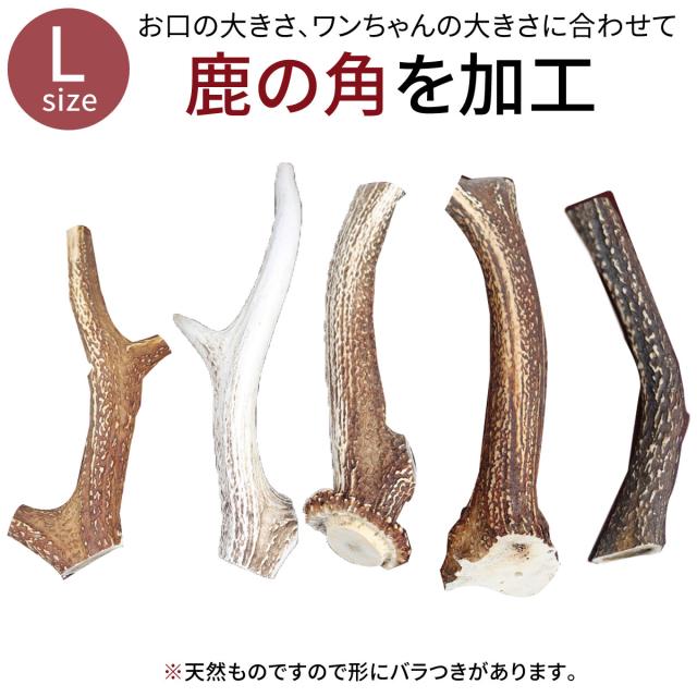 送料無料 犬 おやつ 無添加 鹿の角 ガム おまけ付 どっぐふーどる 国産 cm 25cm 鹿角 歯石取り はみがき おもちゃ 犬のおやつ ドッの通販はau Pay マーケット どっぐふーどる