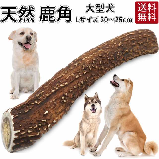 送料無料 犬 おやつ 無添加 鹿の角 ガム おまけ付 どっぐふーどる 国産 cm 25cm 鹿角 歯石取り はみがき おもちゃ 犬のおやつ ドッの通販はau Pay マーケット どっぐふーどる