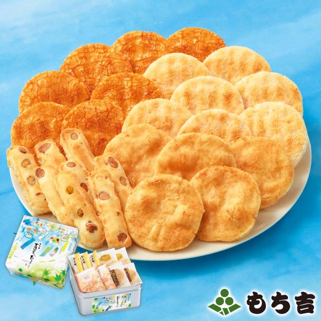 もち soil｜カガミモチ M | KONCENT Web shop｜アッシュコンセプト