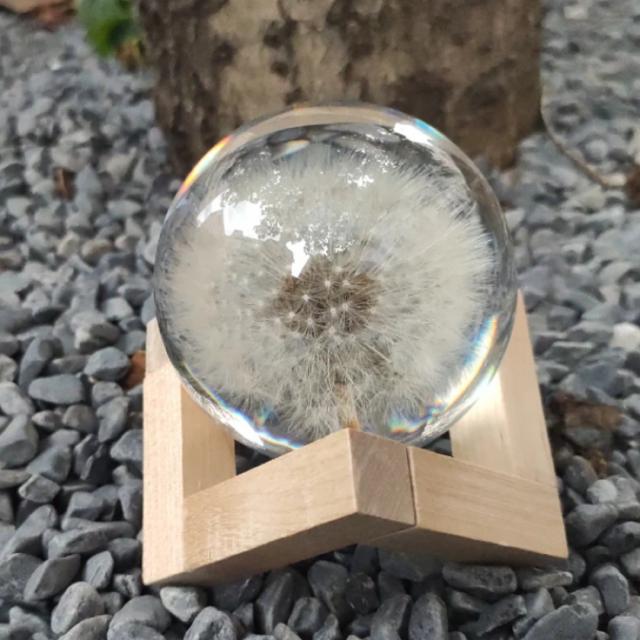 A034924永生花 たんぽぽ 装飾品 蒲公英テーブルフラワー飾り置物 ギフト
