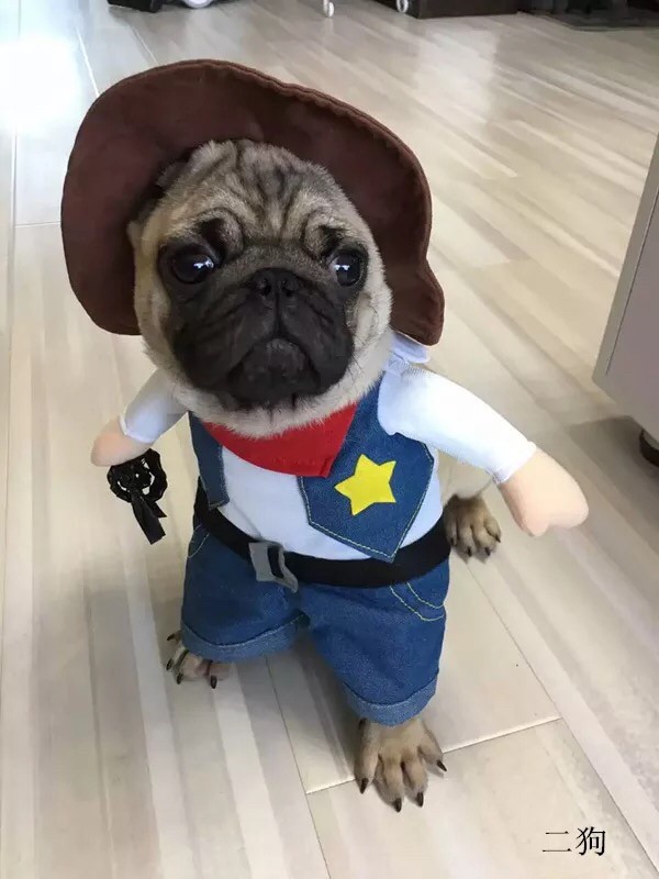 大人気可愛い犬服ペット用品 犬服 コスプレ ハロウィンの通販はau Pay マーケット リタホーム