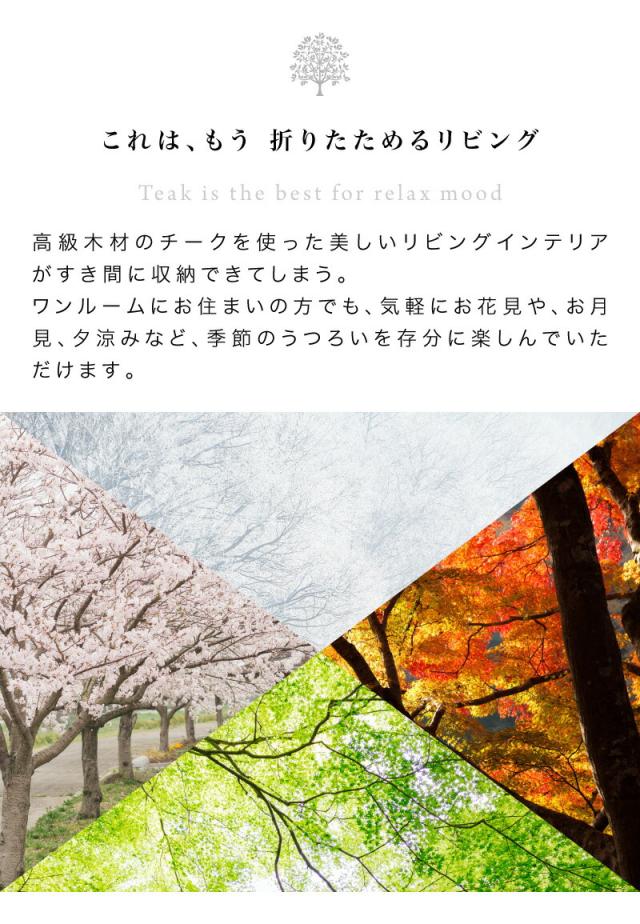 木製チェア フォールディングチェア 2脚セット 送料無料 木製椅子 木製イス ガーデンファニチャー ガーデン チェア 2脚 木製 イス 椅子 折りたたみ 持ち運び 便利 ガーデニング アウトドア オシャレ カフェ 組立不要 szkの通販は