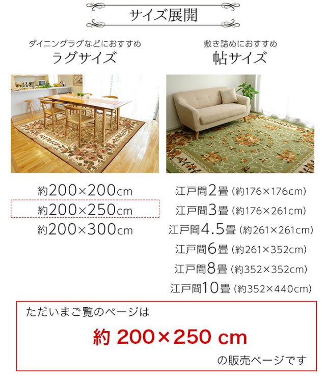 絨毯 ラグ エレガント 200×250cm 高級感 撥水キャンベル 平織_5