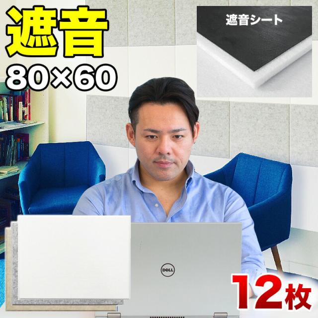 防音 遮音 吸音 パネル 80cm 60cm 45度カットタイプ 12枚セット 断熱 