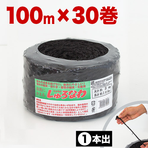 しゅろ縄 平巻 3mm×100m 黒 30個入 入り数30 棕櫚 シュロ クロ ガーデニング 庭 農業 業務資材 支柱結束資材 結束 シュロ縄 麻縄 麻紐 麻ひもの通販は