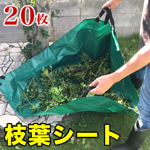枝葉シート150×150cm （入数20） 20入 20枚入 落葉拾い 落葉集め 落葉 枝広い 庭掃除 造園作業 農作業 便利 丈夫の通販は