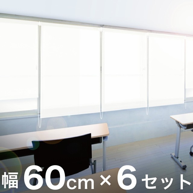 6本セット ロールスクリーン 幅60cm×高さ250cm 幅3m 業務用 本棚 用 目隠し オフィス キッチン 収納 隠す まとめ売り セット売り リフォ