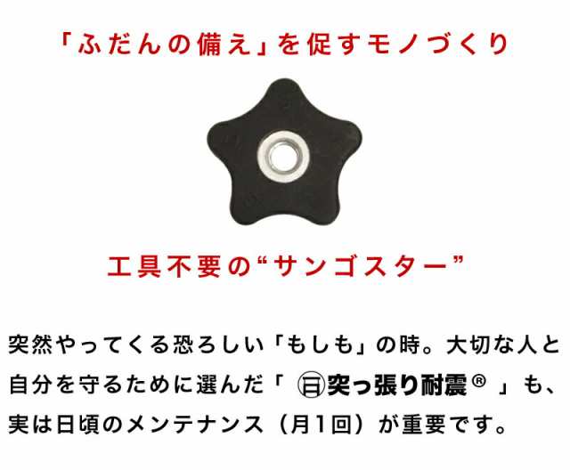 壁面収納 扉付 幅60 奥行26 突っ張り おしゃれ リビング 壁面収納家具