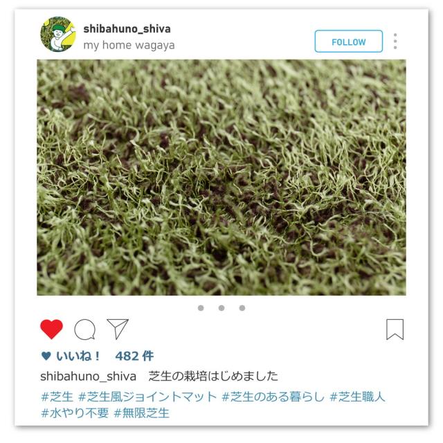 芝生風 ジョイントマット シーヴァ 約60×60cm 36枚入り 大判 サイドパーツ付き 萩原_13