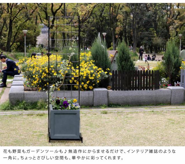 プランター台付フェンス スリムタイプ グラフ 送料無料 フェンス ゲート 扉 アイアン ガーデンフェンス ガーデニング 枠 柵 仕切り 目隠し 格子 ベランダ つる 薔薇 バラ 朝顔 園芸 ラティス つるバラ 庭 屋外_3