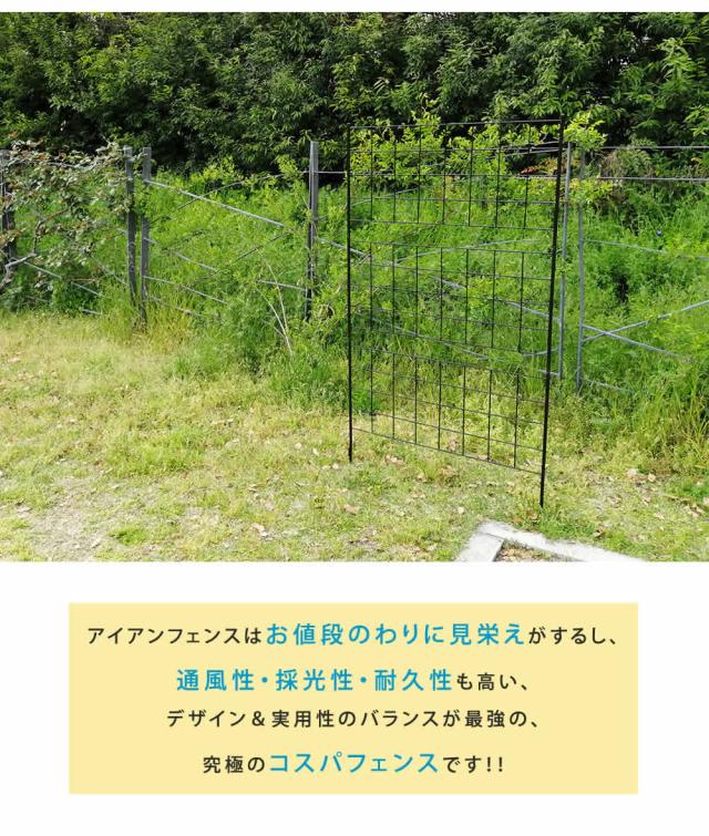アイアンフェンス 高さ176 グラフ 1枚 送料無料 フェンス アイアン ガーデンフェンス ガーデニング 枠 柵 仕切り 目隠し 境目 クラシカル アンティーク 格子 ベランダ つる 薔薇 バラ 朝顔 園芸 ラティス つるバラ 庭誘引 屋外_4