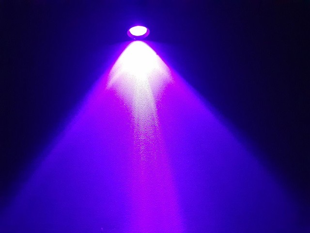 ブラックライト LEDライト 紫外線ライト 2本セット ミニ 小型 395nm UV