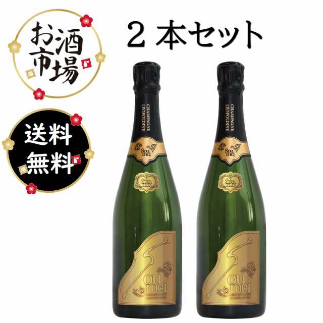 海外販売× ソウメイ ブリュット 750ml 2本 - crumiller.com