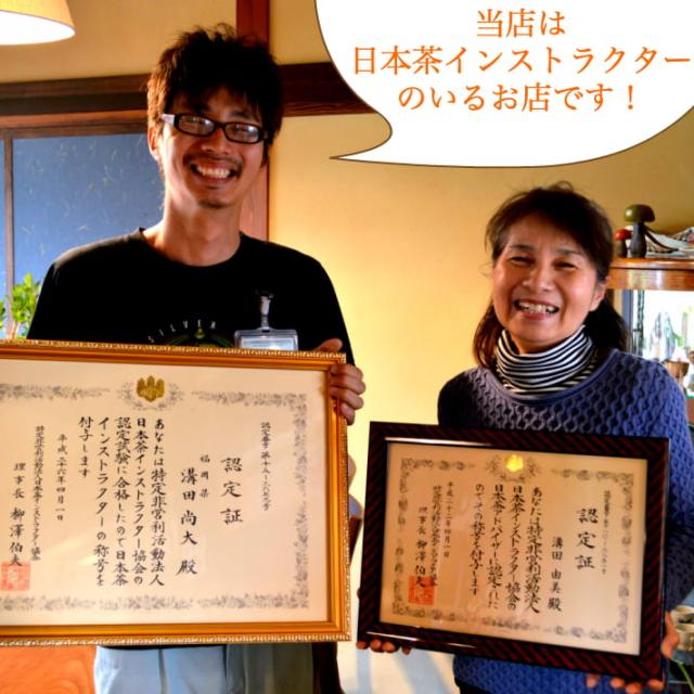 新茶 2024 八女茶 煎茶 送料無料 高級茶 100g 3袋セット メール便 産地直送 滴の抄 お得 緑茶 お茶 茶葉 日本茶 深蒸し茶 国産 冷茶 ご当地 お取り寄せ ポスト投函 お土産 通販 九州産 ネコポス  鵜ノ池製茶の通販は