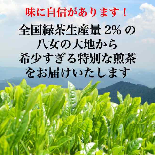 八女茶 煎茶 送料無料 100g 3袋セット メール便 産地直送 樹の抄 お茶