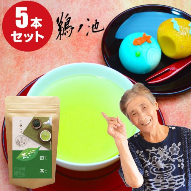 2024 新茶 八女茶 煎茶 送料無料 茶ごころ 100g 5袋セット 送料無料 産地直送 安心安全 お茶 緑茶 日本茶 茶葉 深蒸し茶 ポイント消化 お土産 セット 贈り物 九州産 ランキング ネコポス 鵜ノ池製茶 の通販は