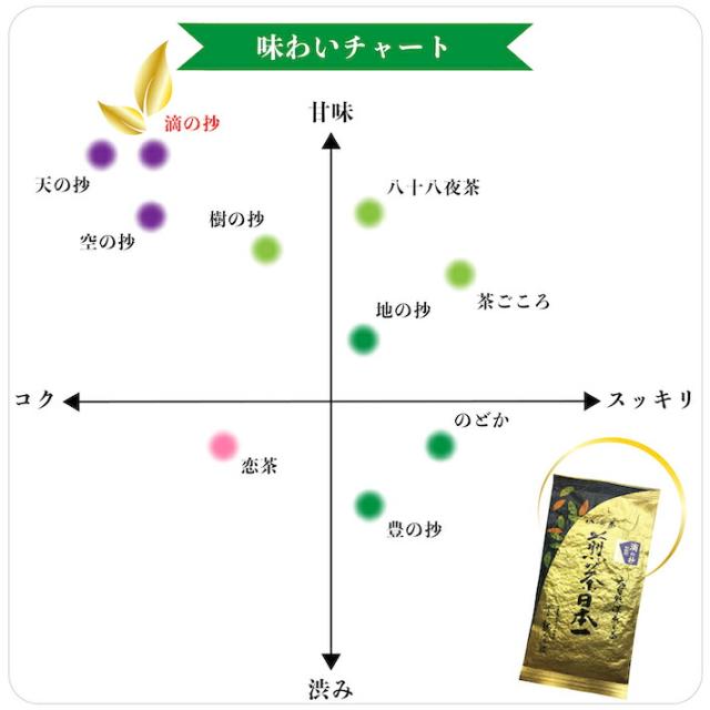 新茶 2024 八女茶 煎茶 送料無料 高級茶 100g 3袋セット メール便 産地直送 滴の抄 お得 緑茶 お茶 茶葉 日本茶 深蒸し茶 国産 冷茶 ご当地 お取り寄せ ポスト投函 お土産 通販 九州産 ネコポス  鵜ノ池製茶の通販は