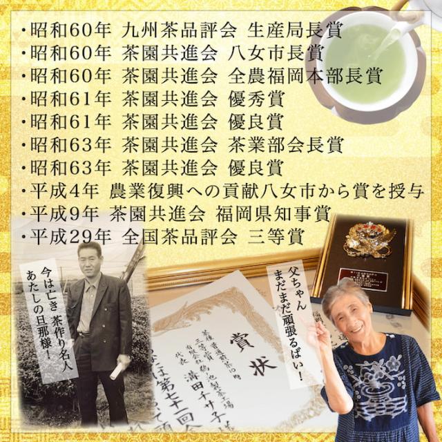 新茶 2024 八女茶 煎茶 送料無料 高級茶 100g 3袋セット メール便 産地直送 滴の抄 お得 緑茶 お茶 茶葉 日本茶 深蒸し茶 国産 冷茶 ご当地 お取り寄せ ポスト投函 お土産 通販 九州産 ネコポス  鵜ノ池製茶の通販は