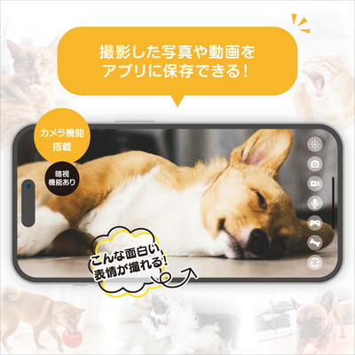 アンサー わんにゃん見守り隊 「宅配便送料無料(A)」