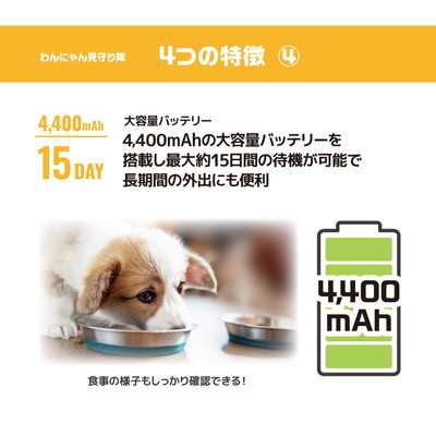 アンサー わんにゃん見守り隊 「宅配便送料無料(A)」