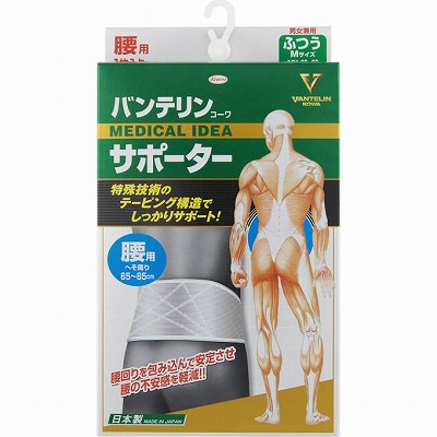 興和 バンテリンコーワサポーター 腰用ふつうサイズ シャイニンググレー 男女兼用1枚入「宅配便送料無料(B)」