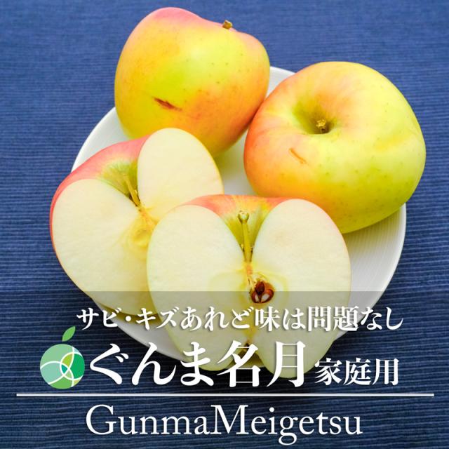 サビ・キズあり　ぐんま名月　りんご　家庭用　約10kg　16-36玉　長野県産