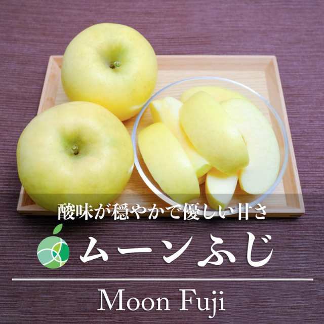 ムーンふじ りんご 贈答用 約5kg 10-16玉 長野県産 お歳暮 御歳暮