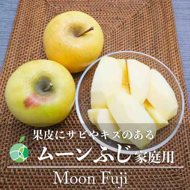 サビ・キズあり　ムーンふじ　りんご　家庭用　約10kg　20-32玉　長野県産