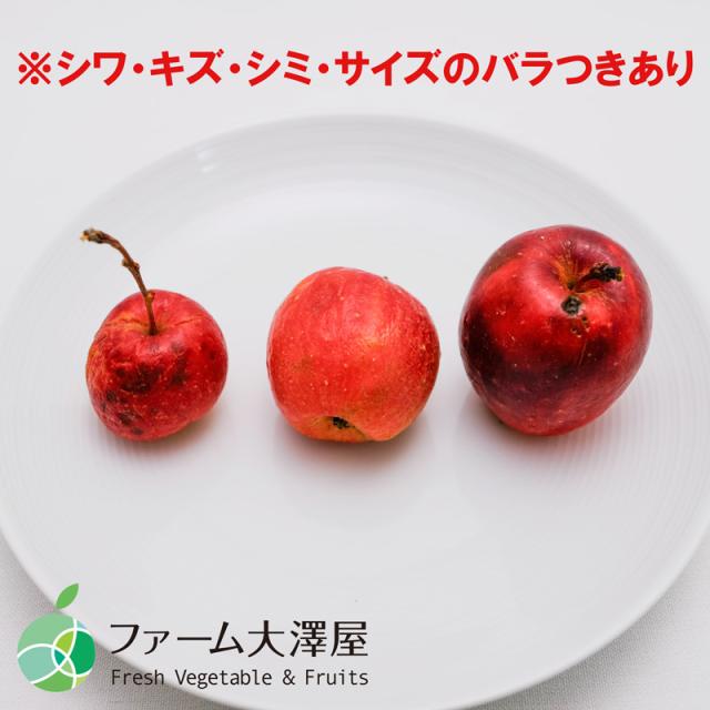 長野県産 アルプス乙女 15キロ 加工用 生食には適しません アルプス