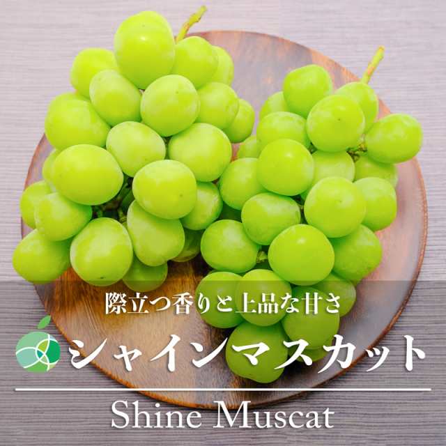 送料無料 シャインマスカット ぶどう ハウス栽培 約2kg 4 6房 長野県産の通販はau Pay マーケット ファーム大澤屋オンラインショップ