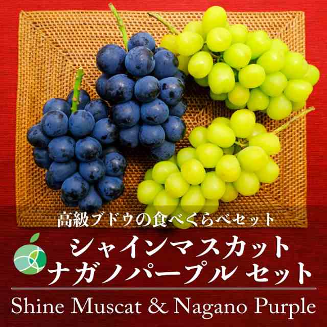 長野県産　シャインマスカット+ナガノパープルセット　フルーツ　ぶどう　ファーム大澤屋オンラインショップ　敬老の日　秀　各1房　PAY　贈答用　約1kg　PAY　マーケット　2023　au　ギフトの通販はau　マーケット－通販サイト