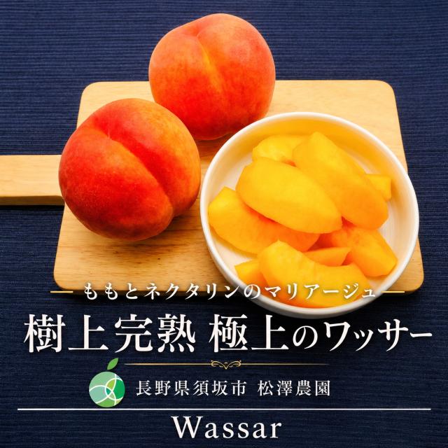 樹上完熟 ワッサー 約5kg | 長野県須坂市松澤農園 | 桃とネクタリンの交配品種
