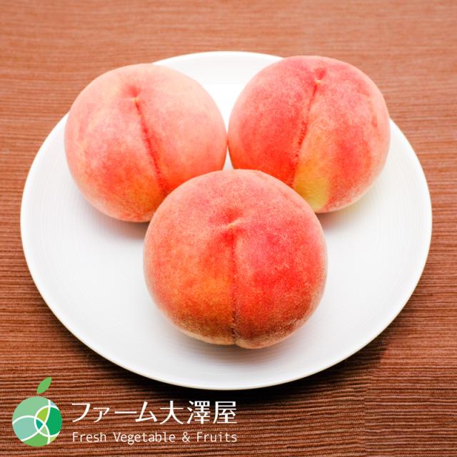 川中島白桃 桃 お中元 フルーツ 特選品 5kg 12-15玉入り 川中島白桃 長野県産 3kg箱・５kg箱予約８月中旬から発送送料