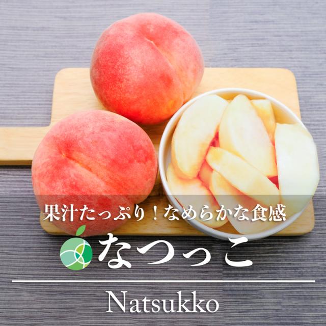 長野県産もも　なつっこ　約5kg　｜ 桃 国産 フルーツ ｜ ギフト プレゼント 贈り物 お供え お見舞い