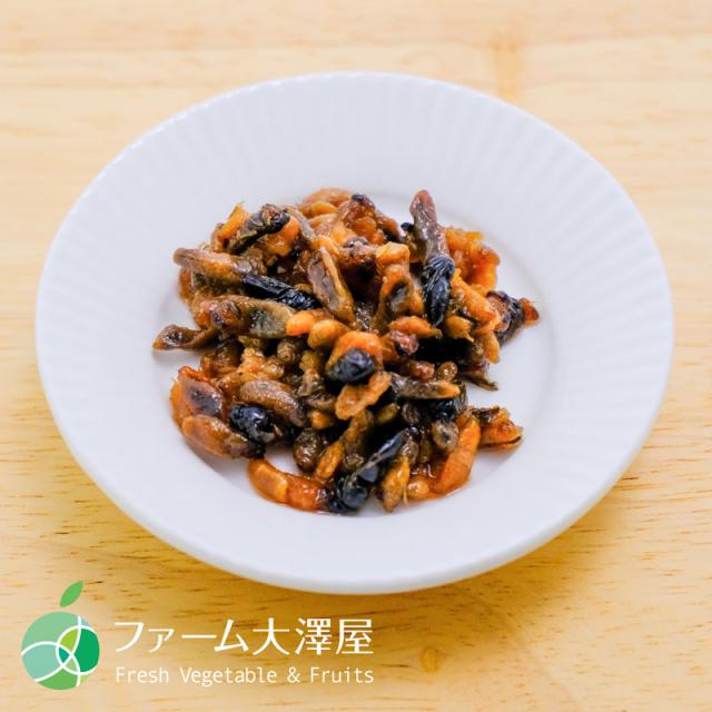 輝け甲子園の星 高校野球本 立浪和義 近藤真一 佐々木主浩 天理