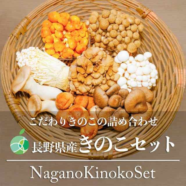 長野県産きのこセット 8種類 シイタケ、ヒラタケ、マイタケ