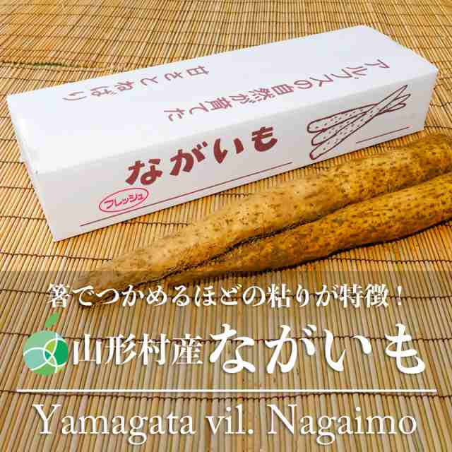 山形村産ながいも　長芋　やまいも　優　3-4L　約10kg　長野県山形村産　野菜　ギフト