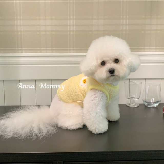 犬服 猫服 ドッグウェア 韓国ペット服 犬用 ペットグッズ 洋服 ペット