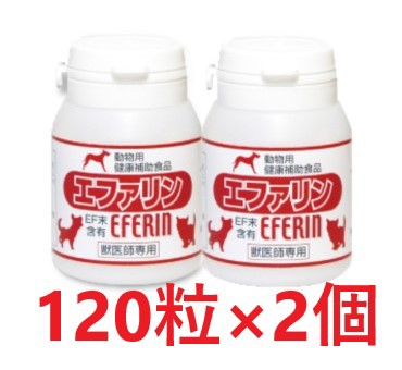 賞味期限：2023年12月31日】【２個セット】【エファリン 120粒 ×２個 ...