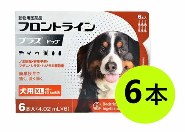 【フロントラインプラス ドッグXL（40〜60kg未満） ６本入×１個】(フロントライン プラス 犬用 XL)【動物用医薬品】 [ノミ・マダニ駆除薬]の通販は
