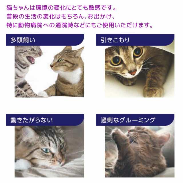 フェリウェイ専用拡散器+リキッド×１個セット』猫用【セバ・ジャパン