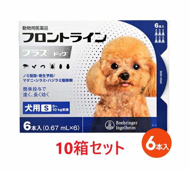 フロントラインプラス ドッグ S（5〜10kg未満） ６本入×１０個】(フロントライン プラス 犬用 S)【動物用医薬品】 売り価格  ペット・ペットグッズ